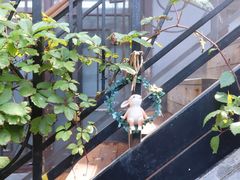 -后海16号·北京私房菜