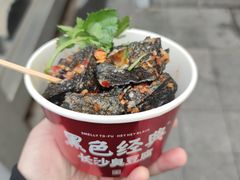 -黑色经典臭豆腐·湖南特产(潇湘文化店)