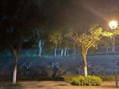 -东莞植物园