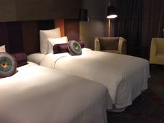 -南京禄口机场雅高铂尔曼大酒店