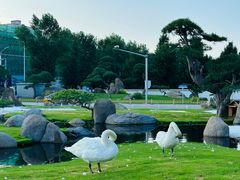 -罗红摄影艺术馆