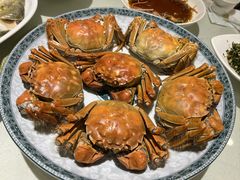 -鹿港小镇经典老上海菜(长乐路店)