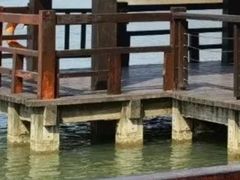 -苏州太湖国家湿地公园