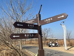 -盐城丹顶鹤湿地生态旅游区