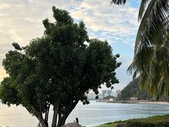 -海角轩·三亚文华东方酒店