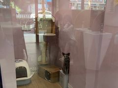 -联合动物医院(光谷诊疗中心)