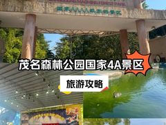 -广东茂名森林公园