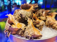 -Social 秀西餐厅-长沙瑞吉酒店(运达店)