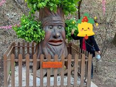 -照金香山旅游景区