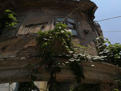 -老姿娘炒糕粿(指南里小区店)