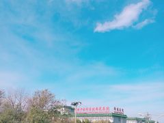 -中国中医科学院西苑医院(本部)