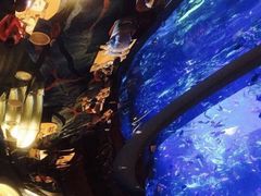 -迪拜帆船酒店海底餐厅