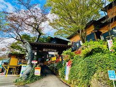 -宫城藏王狐狸村