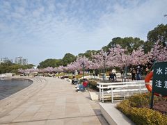 -新江湾城公园