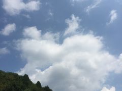 -铜川市金锁关石林