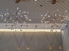 -金戈戈香港豉油鸡(南山海岸城店)