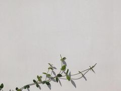 -AHAVA·Fang Baking Studio