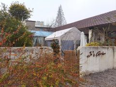 -Jo's Garden