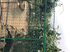 -呼吸森林·生态农庄农家乐私房菜