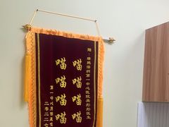 -瑞鹏宠物医院·骨科·猫科·内科(第一中心)