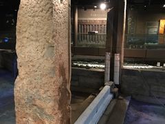 -元代水闸遗址博物馆