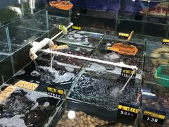 水产区-明记海鲜大排档(巽寮湾店)