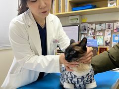 -美联众合动物医院·24h京西诊疗中心