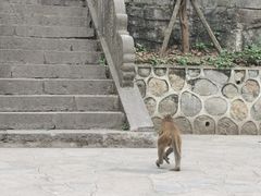 -黔灵山公园