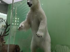 -国家自然博物馆