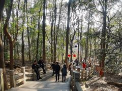 -灵岩山风景区