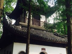 -汇龙潭