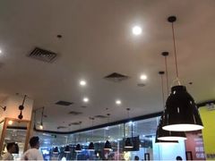 -油梨树 AVOCADO TREE(亮马桥店)