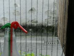 -阿木舂记·特色小吃(平江路店)