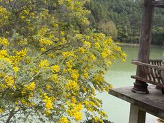 -广州白江湖森林公园