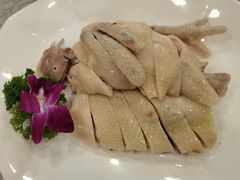 六婶白切清远鸡-六婶西关小厨(光塔路店)