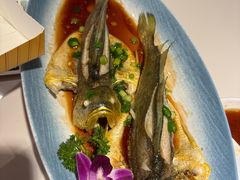 -33号大院·青岛本帮菜(五四广场店)