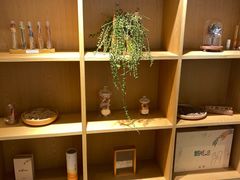-左悦·艾灸调理·推拿按摩·精油SPA(卓悦汇店)