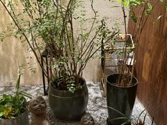 -王府茶楼茶宴·创意菜(大观园总店)