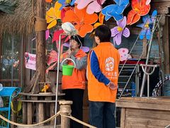 -南宫五洲植物乐园