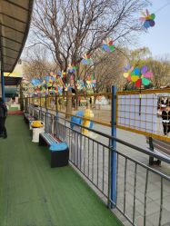 -寻石问宝研学亲子乐园(朝阳公园店)