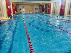 -飞鲨游泳培训学校