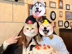 -开心果牛扒城(雍华庭店)