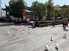 -合肥融创乐园