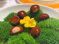 -鹿园 MOOSE(长宁店)