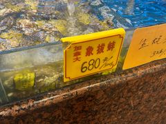 -金米箩大酒店(五角场店)