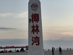 -东郊椰林