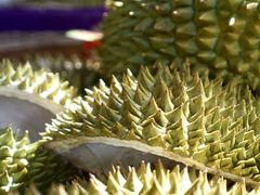 -三亚火车头万人海鲜广场