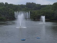 -广州莲花山旅游区