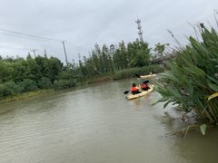 -上海长兴岛郊野公园