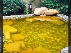 -天目湖涵田半山温泉